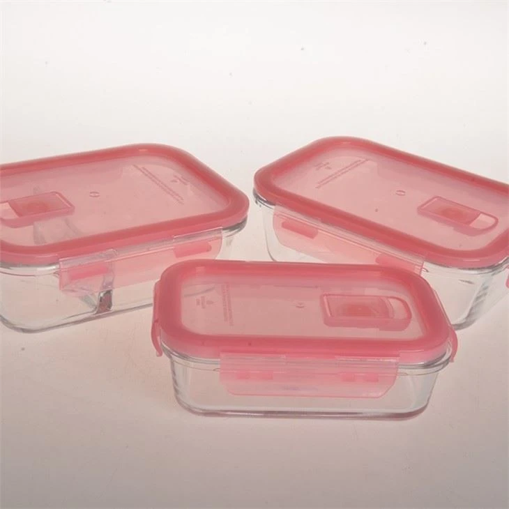 Glass Storage Container Lunch Box Set