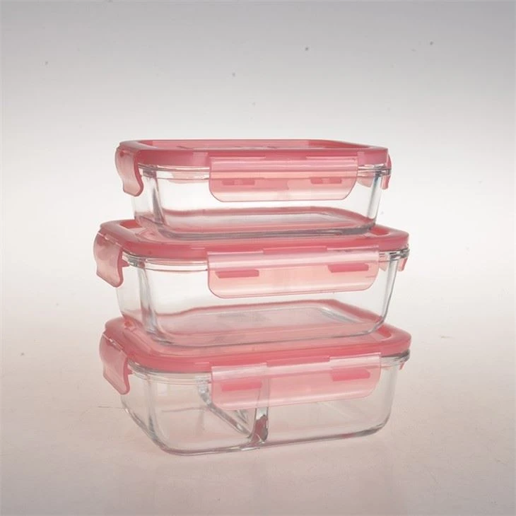 Glass Storage Container Lunch Box Set