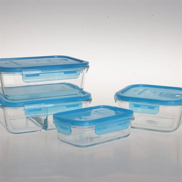 Glass Storage Container Lunch Box Set