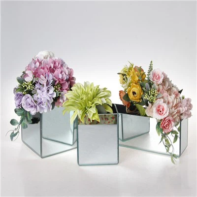 Cube Square Plant Hydroponic Glass Flower Vase